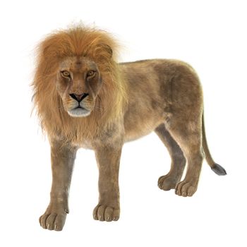 3D digital render of a male lion resting isolated on white background
