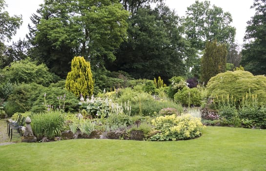 big english garden with borders and flowers