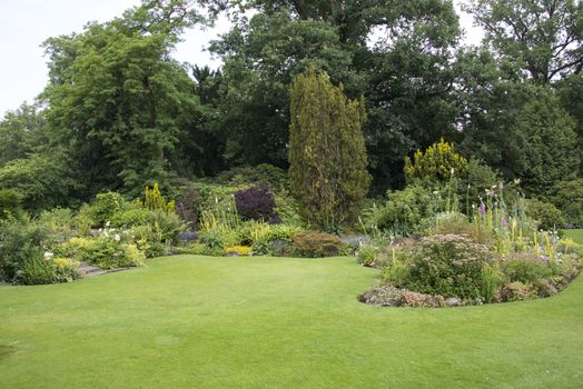 big english garden with borders and flowers