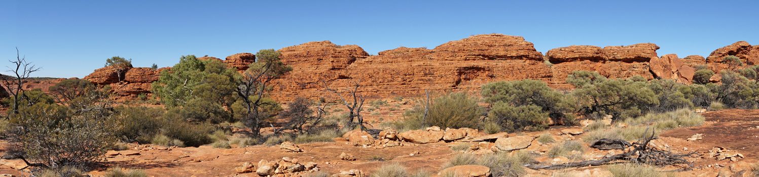 Landscape of the Kings Canyon, Outback of Australia