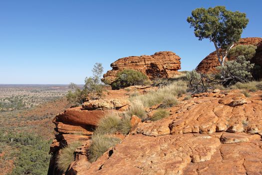 Landscape of the Kings Canyon, Outback of Australia