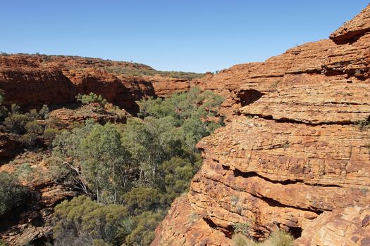 Landscape of the Kings Canyon, Outback of Australia