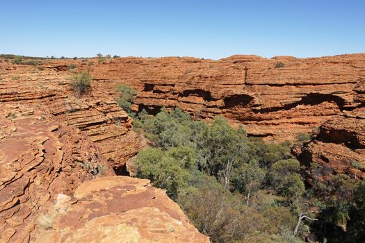 Landscape of the Kings Canyon, Outback of Australia