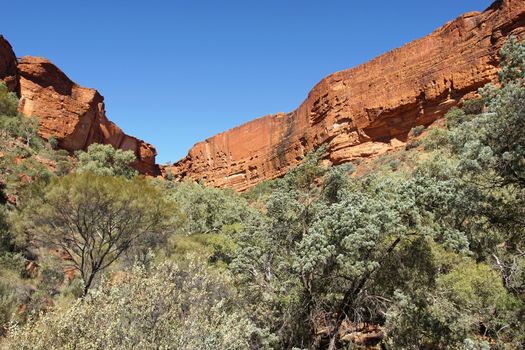 Landscape of the Kings Canyon, Outback of Australia