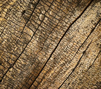 abstract background or texture old rotten wood