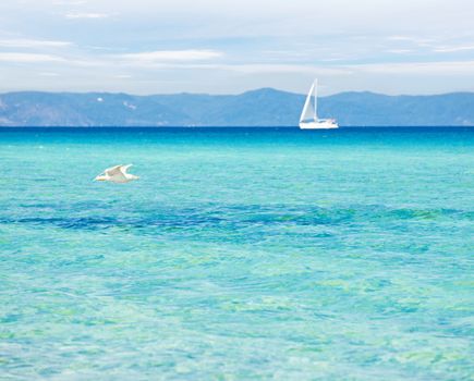 Peaceful seascape with blue-green transparent water, seagull and a yacht in the background.