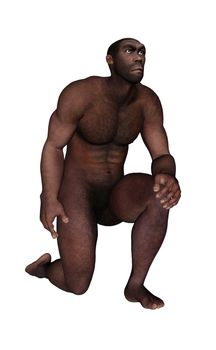 Male homo erectus asking isolated in white background - 3D render