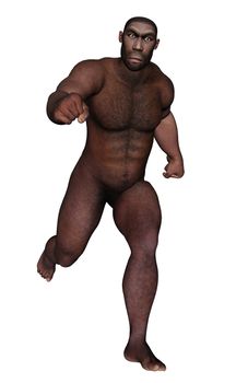 Male homo erectus running isolated in white background - 3D render