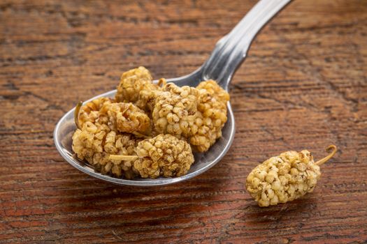 sun-dried white mulberry berries on a tablespoon against rustic wood