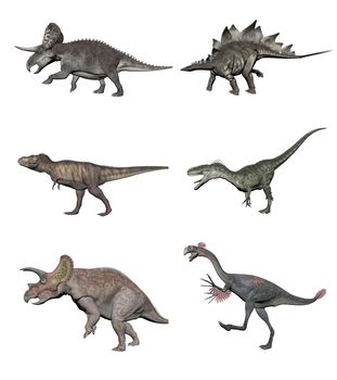 Six various dinosaurs on white bottom