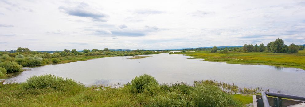 Bird island at the Altmuehlsee, Bavaria, Germany - Vogelfreistaette Flachwasser- und Inselzone im Altmuehlsee