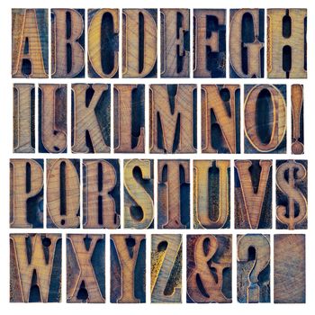 alphabet in modern letterpress wood type printing blocks, a collage of 26 isolated letters, question mark, exclamation point, ampersand and dollar sign