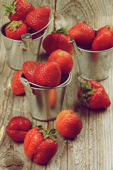 Fresh Ripe Strawberries in Three Tin Buckets closeup on Rustic Wooden background. Retro Styled