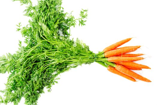 Carrot vegetable with leaves isolated on white background