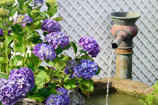 Vintage pump with hydrangea