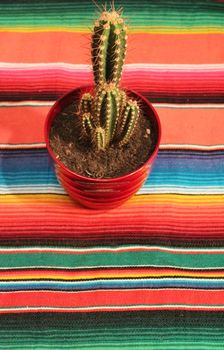 Traditional Mexican fiesta poncho rug  in bright colors and cactus with background with copy space