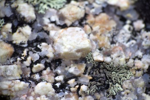 On surface of marble, quartzite crystals growing lichen. Macro