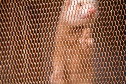 Mink placed in a cage.  animal behind the net is torn out
