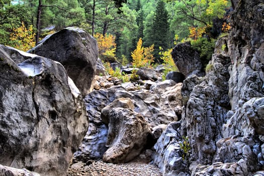 Dry Creek flows between large stones. Visible yellow forest. 