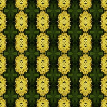 Bannaticus spike flower have many bouquet seamless use as pattern and wallpaper.