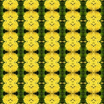 Bannaticus spike flower have many bouquet seamless use as pattern and wallpaper.