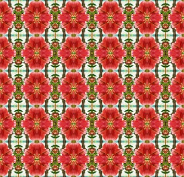 Orange bougainvillea flowers bloom in summer seamless use as pattern and wallpaper.