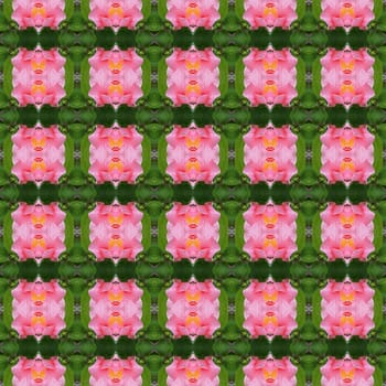 Pink hibiscus flower full bloom on the trees seamless use as pattern and wallpaper.