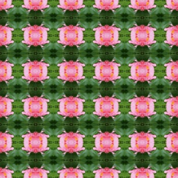 Pink hibiscus flower full bloom on the trees seamless use as pattern and wallpaper.