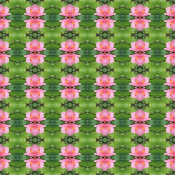 Pink hibiscus flower full bloom on the trees seamless use as pattern and wallpaper.