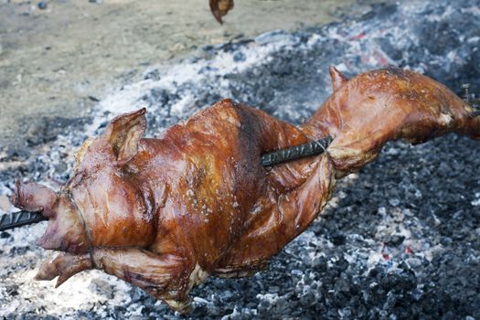 whole pig cooked on a spit grilled