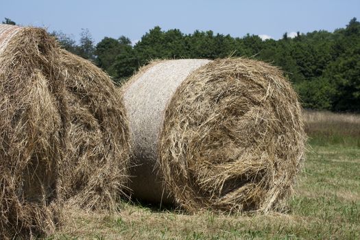 large haystacks round, in Italian country