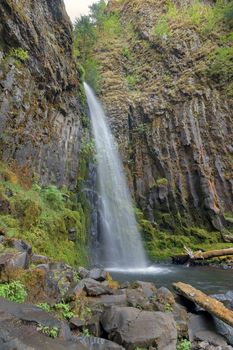 Dry Creek Falls Along Pacific Crest Trail in Columbia River Gorge National Scenic Forest in Oregon Vertical