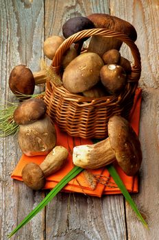 Arrangement of Fresh Raw Boletus Mushrooms with Stems and Grass in Wicker Basket on Orange Napkin closeup on Rustic Wooden background