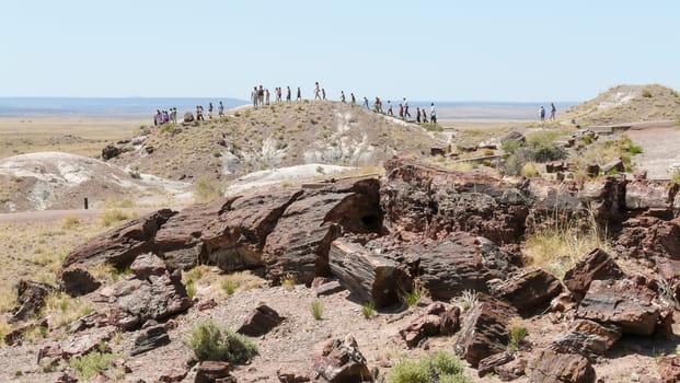 Petrified Forest, AZ, USA - May 20, 2008: A group of people walking in Petrified Forest National Park, at front fossiles (petrified wood).