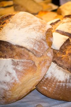 Bread apulia typical of the area north of Bari