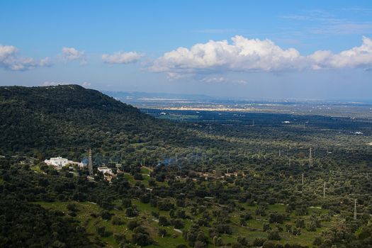 Landscape view of the hills Ostunesi with expanses of olive trees