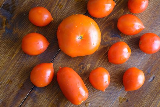 red tomatoes in various forms collected in the Italian countryside