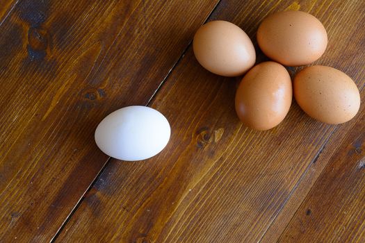 Chicken eggs with egg white sockets on the farm