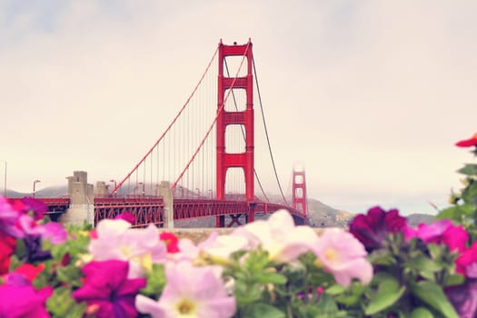 foggy day at golden gate bridge San Francisco california USA