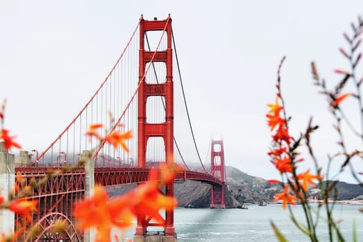 golden gate bridge San Francisco california USA