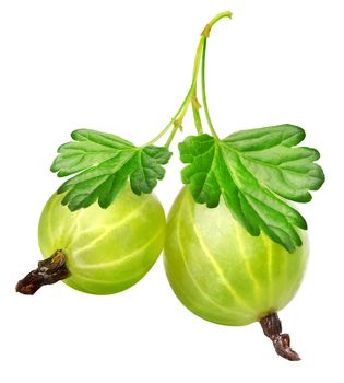 Two gooseberries isolated on a white background