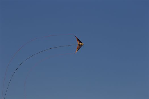 Beautiful background with the kite in the blue sky