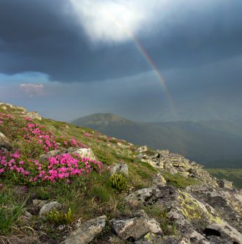 evening mountain plateau landscape with rainbow(Carpathian, Ukraine) 