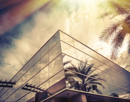 Modern office building with palm tree reflecting in glass