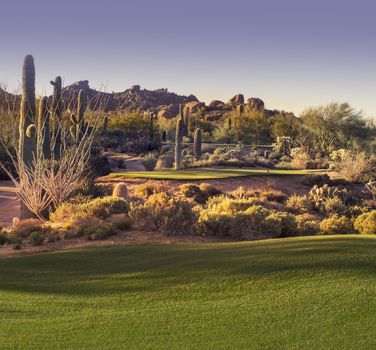 Arizona Desert Golf Course