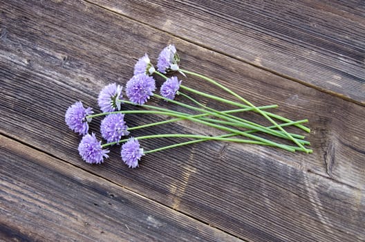 summer onion blossoms on old wooden plank background