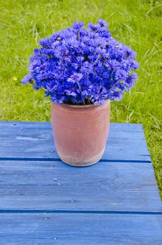 beautiful bouquet wild cornflower in vase on old blue wooden garden table