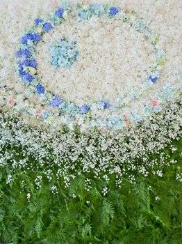 Abstract background of flowers. Close-up floral wedding backdrop