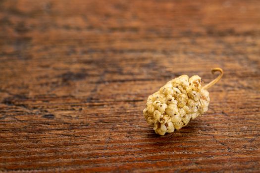 a single dried white mulberry fruit on a rustic wood with a copy space