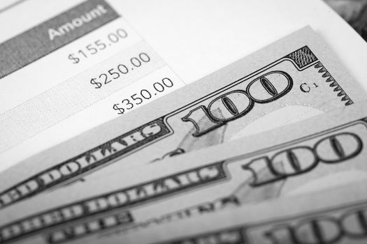 Dollar Photography: US Hundred Dollars Bill Macro